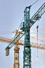 Image showing Cranes