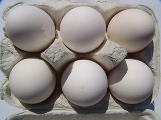 Image showing Eggs