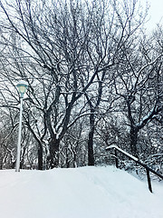 Image showing Winter day in a snowy park