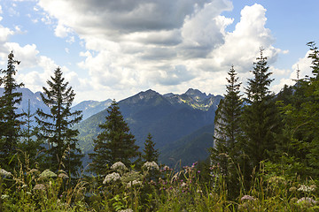 Image showing Panorama view from Bavarian Alps, Germany