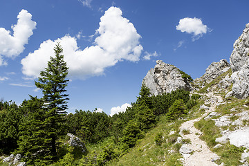 Image showing Hiking in Bavarian Alps, Germany