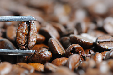 Image showing roasted coffee beans macro