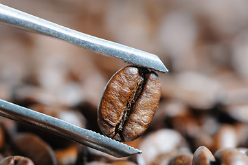 Image showing roasted coffee beans macro