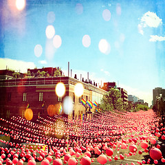 Image showing Joyful summer street in gay neighborhood decorated with pink bal