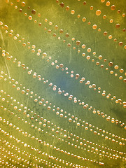 Image showing Scratched grungy sky background with balloons decorations