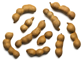 Image showing Raw tamarind fruits