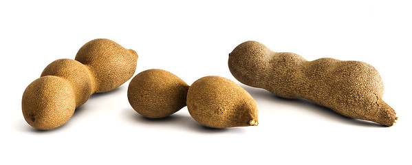 Image showing Three raw tamarind fruits