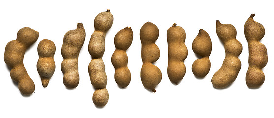 Image showing Raw tamarind fruits