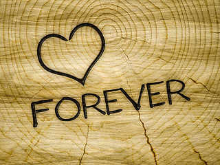 Image showing wooden heart love forever branding