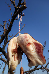 Image showing The meat drying outside on the sun