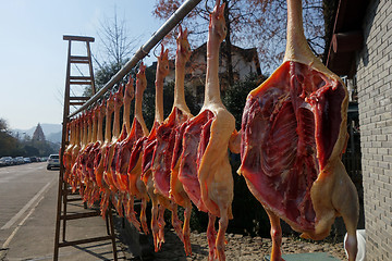 Image showing The meat drying outside on the sun