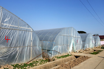 Image showing Large greenhouse for plants in the autumn