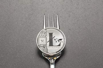 Image showing Litecoin Fork Concept Dark Gray Background