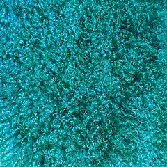 Image showing Turquoise colored sheepskin background