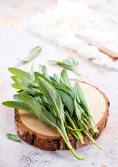 Image showing fresh sage