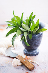 Image showing fresh sage