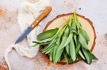 Image showing fresh sage