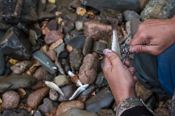 Image showing Fisherman cleaning fish