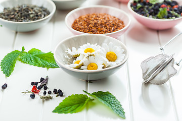 Image showing Assortment of dry tea