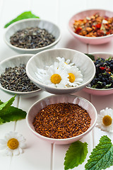 Image showing Assortment of dry tea