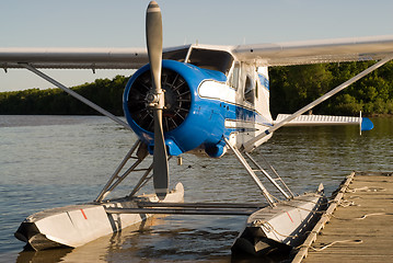 Image showing Water Plane