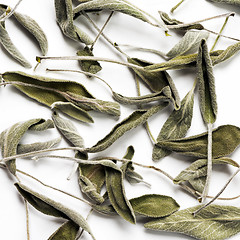 Image showing Dried sage (salvia) leaves 