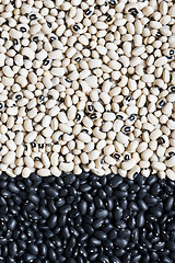 Image showing  Black beans and black-eyed peas (black-eyed beans or goat peas)