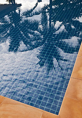 Image showing Palm trees reflection in blue water