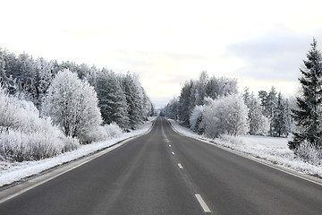 Image showing Empty Winter Highway with Hoarfrost