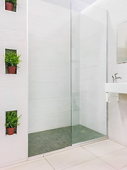 Image showing Modern renovated shower with plant decorations