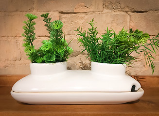 Image showing White decorative ceramic pot with two green plants