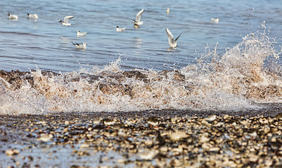 Image showing Waves on the Shore