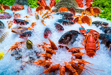 Image showing Various seafood on the shelves of the fish market