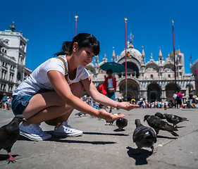 Image showing Woman tourist feeding pigeons in the square - St. Marks Square -