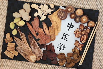 Image showing Chinese Alternative Medicine 