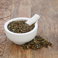 Image showing Figwort Leaf Herb
