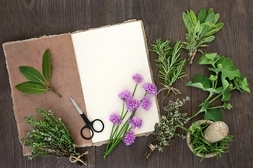 Image showing Fresh Herbs for Drying  