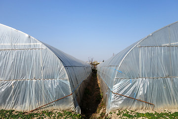 Image showing Large greenhouse for plants in the autumn