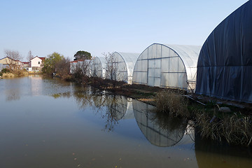 Image showing Large greenhouse for plants in the autumn