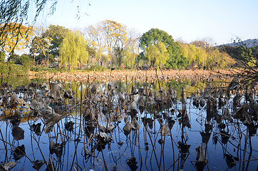 Image showing Landscape of West lake in Hangzhou, China