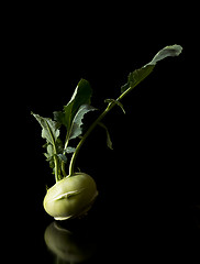 Image showing Kohlrabi (German turnip or turnip cabbage) with leaves