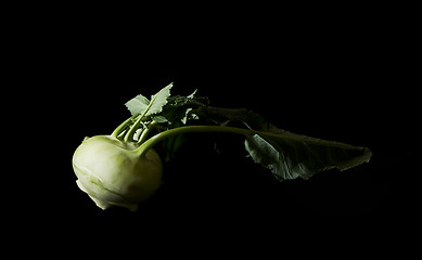 Image showing Kohlrabi (German turnip or turnip cabbage) with leaves