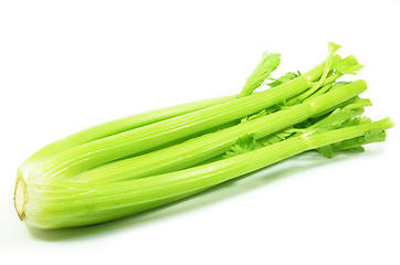 Image showing Bunch of celery sticks isolated