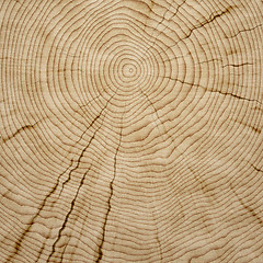 Image showing wooden background texture