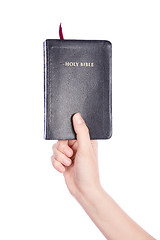 Image showing Woman hand holding the Holy Bible on white