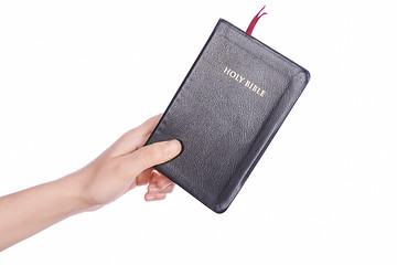 Image showing Woman hand holding the Holy Bible on white