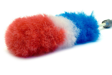 Image showing Feather Duster