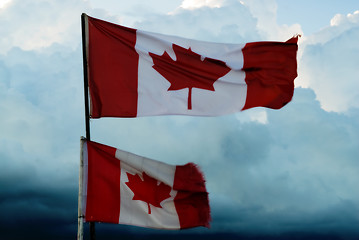 Image showing Canadian Flags