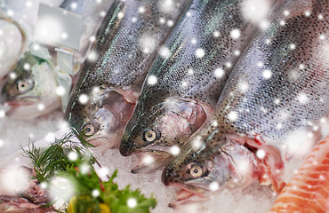 Image showing fresh fish on ice at grocery stall