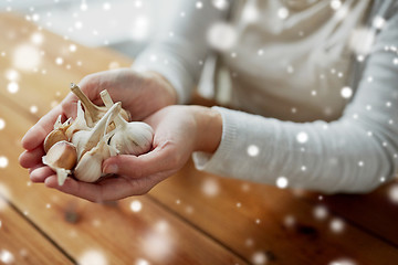 Image showing woman hands holding garlic